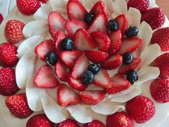 -维尔纳斯·生日蛋糕动物奶油冰淇淋蛋糕(人大店)