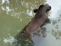-杭州野生动物世界