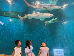 -华夏文旅西安度假区