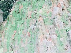 -水濂山森林公园