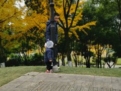 -重庆市江北嘴中央商务区中央公园