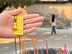 -西安大兴善寺