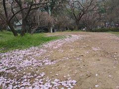 -无锡梅园公园