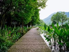 -八卦田遗址公园