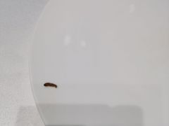 -潮上潮(南中环店)