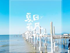 -汕尾风车岛