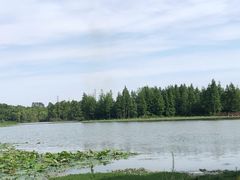 -白鹭湾湿地公园