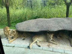 -北京野生动物园
