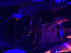 -苏荷酒吧(九街店)