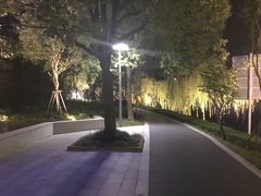 -嘉定紫藤园