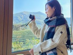 -白茶原·一片叶子