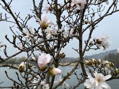 -上海辰山植物园