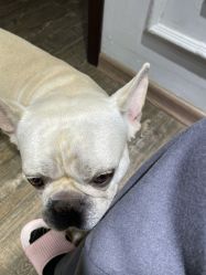 -IDEA·艾蒂尔科技美肤·日式美甲美睫集合店