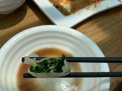 韭菜鸡蛋水饺-一轩饺子馆(丽都店)