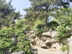 -古塔公园