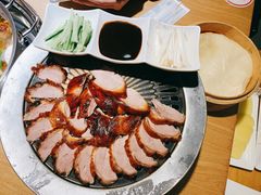 -守柴炉烤鸭(科华中路王府井店)