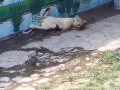 -西霞口神雕山野生动物世界