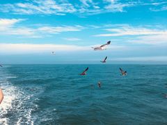 -海驴岛(荣成市)