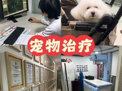 -申普宠物医院·心脏介入·心血管微创(总院)