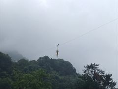 -陕西省红河谷森林公园