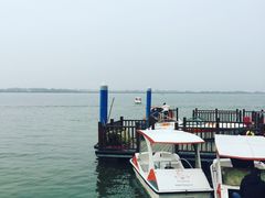 -瑶湖郊野森林公园