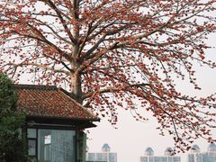 -喜洲吧·江畔老船厂·庭院餐厅(喜临院店)