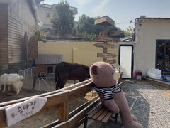 -HERRE·FARM 赫尔露营农场·团建聚会包场