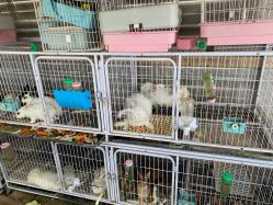 -小蜜蜂农场(凯德七宝购物广场店)