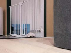 -CAT’S MEWSTAR CAFE·喵星球猫屋(晴湾咖啡店)