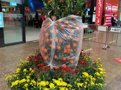 -百佳华超市(松岗店)