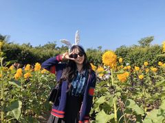-亚龙湾国际玫瑰谷