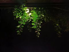 -佬革命主题火锅(玉沙路店)