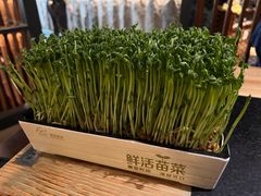 活豆苗-湊湊火锅·茶憩(上海合生汇店)