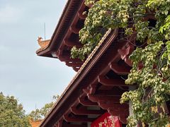 -广州莲花山旅游区