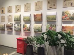 -悦诗风吟innisfree
