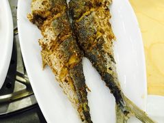 -海岛渔村大酒店(云霄路店)