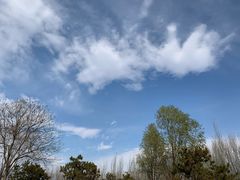 -东郊湿地公园