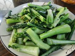 菜心-山旮旯农庄