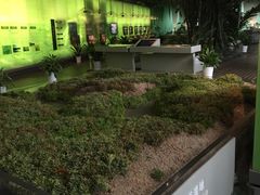 -中国湿地博物馆
