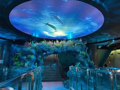 -陕西自然博物馆