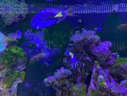 -Zoolung Zoolung动物主题公园(海信广场店)