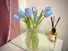 -双季花艺园艺市场(浦东店)