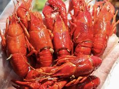 -海岛八号龙虾烧烤田鸡(蓝天路总店)