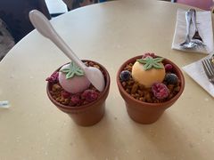-哈根达斯(绍兴银泰店)