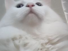 -悠尼宠物·独立低压伊珊娜洗护·美容·寄养(兰谷路店)
