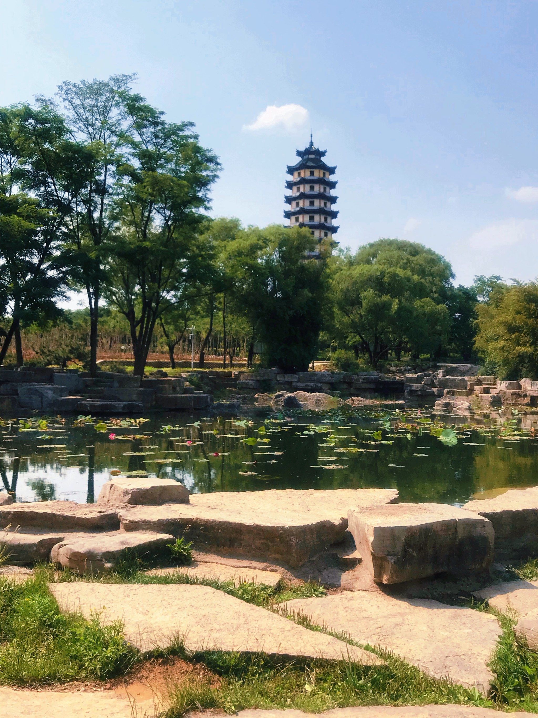 沂水县东皋公园内的风景