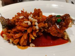 -松鹤楼·非遗·苏帮菜(融科店)