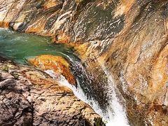 -广州白江湖森林公园