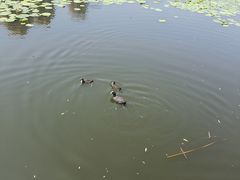 -前关湿地公园