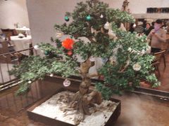 -十二粤味·顺德菜·烧鹅点心(五四广场店)